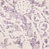 See color option for 2' 7 x 10' New Vintage Runner Rug