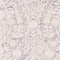 See color option for 7' x 10' New Vintage Rug