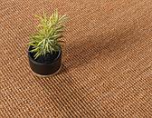 60cm x 183cm Sisal Runner Rug thumbnail image 5