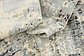 7' x 10' Quebec Rug thumbnail image 8