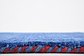 2' 7 x 4' 7 Indo Gabbeh Rug thumbnail image 7
