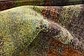 8' x 8' Barcelona Square Rug thumbnail image 18