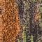 See color option for 2' 2 x 3' Valencia Rug