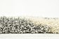 8' x 11' 2 Luxe Trellis Shag Rug thumbnail image 6