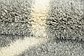 8' x 11' 2 Luxe Trellis Shag Rug thumbnail image 8