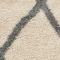 See color option for 7' x 10' Luxe Trellis Shag Rug