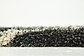 Unique Loom 2' x 6' Opulence Trellis Shag Runner Rug thumbnail image 10