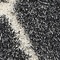 Link to variation of this rug: SKU#3131818