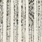 Link to variation of this rug: SKU#3132027