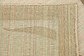 9' x 12' Outdoor Botanical Rug thumbnail image 12