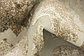 6' x 9' Outdoor Trellis Rug thumbnail image 11