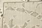 6' x 9' Outdoor Modern Rug thumbnail