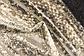 4' x 6' Outdoor Modern Rug thumbnail