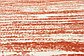 Unique Loom 7' x 10' Outdoor Modern Rug thumbnail image 7