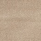 See color option for 8' x 10' Studio Solid Shag Rug