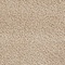 See color option for 5' x 8' Studio Solid Shag Rug