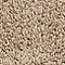 See color option for 2' x 6' 7 Studio Solid Shag Runne...