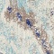 See color option for 5' x 8' Legacy Rug
