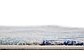 5' x 8' Legacy Rug thumbnail image 10