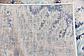 5' x 8' Legacy Rug thumbnail