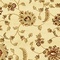 See color option for 8' x 10' Classic Agra Rug