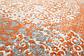 122cm x 122cm New Vintage Square Rug thumbnail image 3