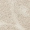 See color option for 4' x 6' Floral Shag Rug