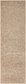2' x 6' 7 Botanical Shag Runner Rug thumbnail image 1
