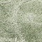 See color option for 5' x 8' Floral Shag Rug