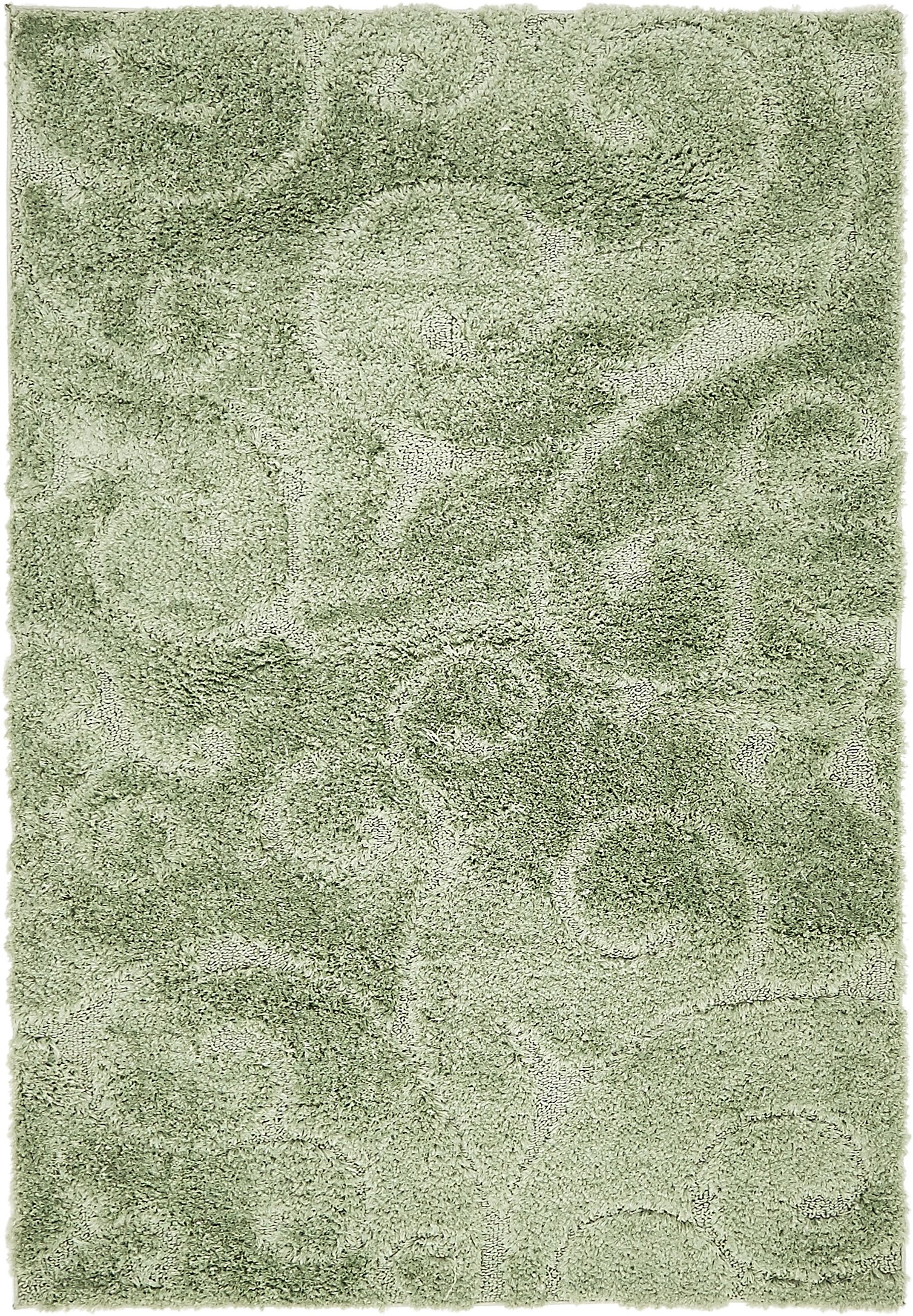 Green 4' x 6' Botanical Shag Rug Area Rugs