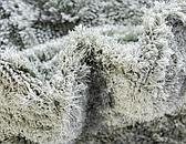 2' 7 x 10' Botanical Shag Runner Rug thumbnail