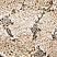 See color option for 2' 7 x 10' Floral Shag Runner Rug