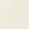 See color option for 9' x 12' Trellis Shag Rug