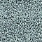 See color option for 2' x 6' 7 Trellis Shag Runner Rug