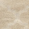 See color option for 8' x 10' Trellis Shag Rug
