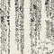 See color option for 2' 2 x 3' Angelica Rug