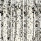 See color option for 2' 2 x 6' Angelica Runner Rug