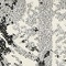 Link to variation of this rug: SKU#3133463