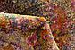 2' 2 x 6' Delilah Runner Rug thumbnail