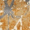 See color option for 4' x 6' Aria Rug