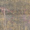 See color option for 4' x 6' Delilah Rug