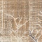 See color option for 10' x 13' Delilah Rug