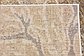 10' x 13' Aria Rug thumbnail image 19