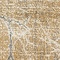 See color option for 4' x 6' Delilah Rug