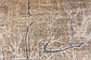 7' x 10' Aria Rug thumbnail image 14