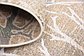 7' x 10' Aria Rug thumbnail image 17