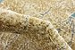 2' 2 x 6' Aria Runner Rug thumbnail image 19