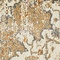 See color option for 4' x 6' Aria Rug