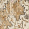 See color option for 5' x 8' Aria Rug