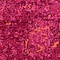 See color option for 3' 3 x 5' 3 Fleur Rug